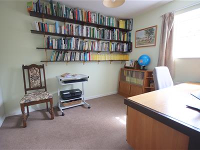 Picture 19